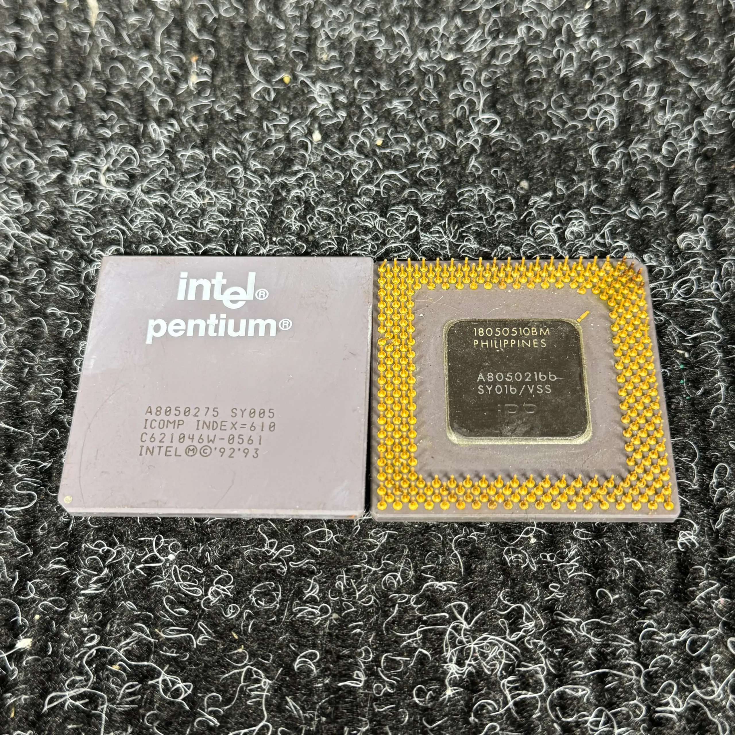 019c0713 73a6 7193 b65c f96601533f31 2 019c0713 73a6 7193 b65c f96601533f31 2